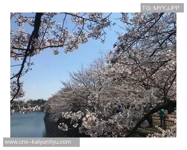 大阪樱花与浦和红砖激战正酣谁能在这场对决中笑到最后